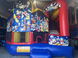 IMG 5367 1729270219 World of Disney 5-in-1 Combo 2